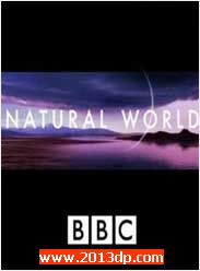 BBCȻ