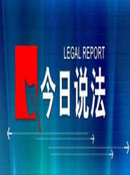 ˵2013 