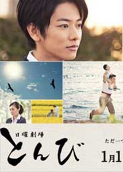 (2013) 