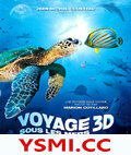 ̽3D